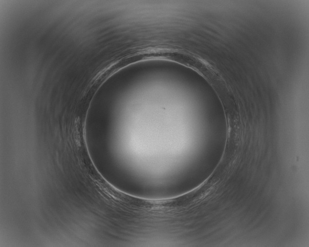 X0000054461265200507291339