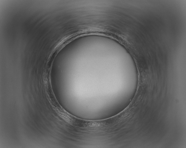 X0000054461266200507291339