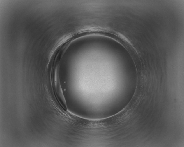X0000054461269200507291339