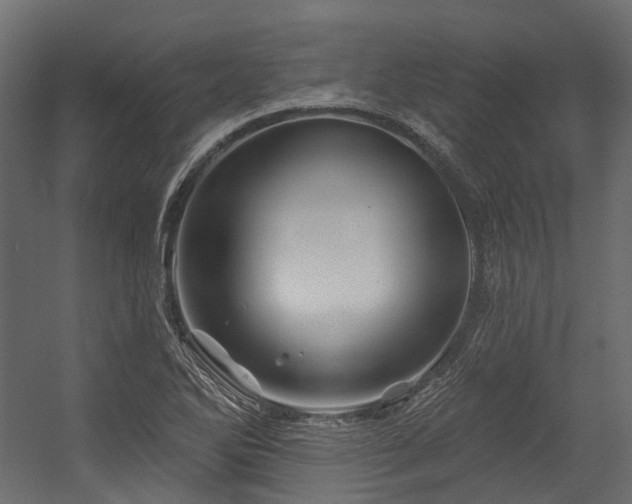 X0000054461270200507291339