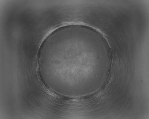 X0000054461271200507291339