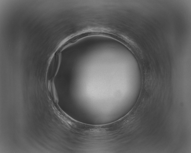 X0000054461272200507291339