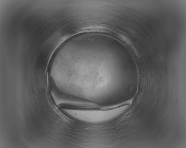 X0000054461275200507291339