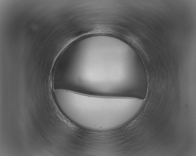 X0000054461276200507291338