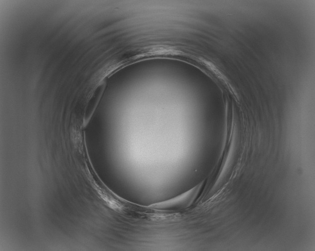 X0000054461281200507291338