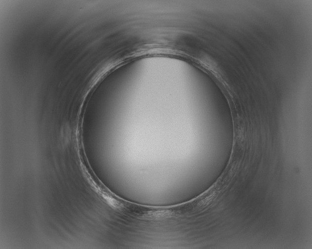 X0000054461282200507291338