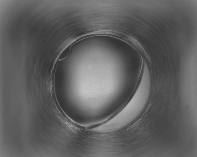 X0000054461284200507291338