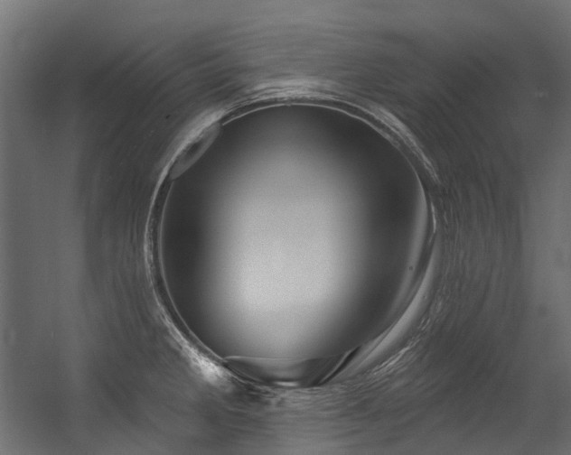 X0000054461285200507291338