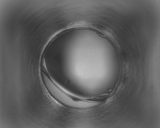 X0000054461288200507291338