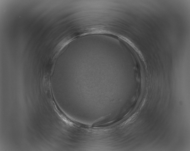 X0000054461289200507291338