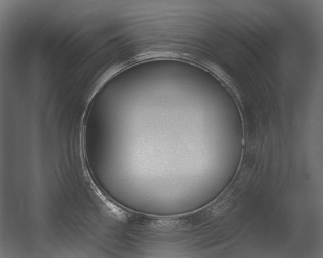 X0000054461290200507291338