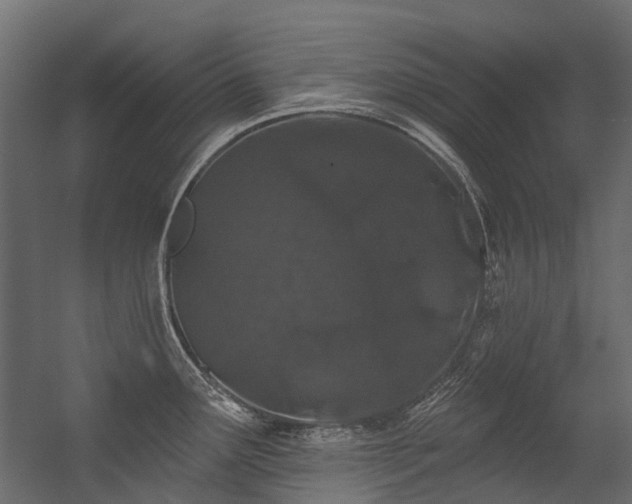 X0000054461291200507291338
