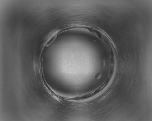 X0000054461293200507291338