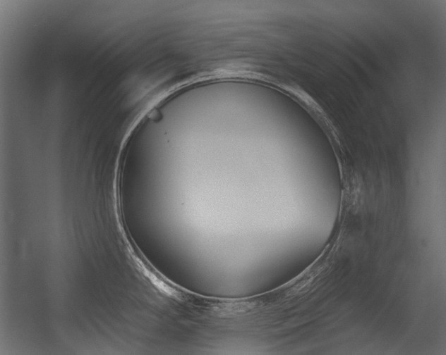 X0000054461294200507291338
