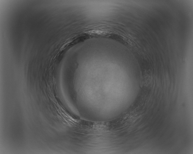X0000054461297200507291337
