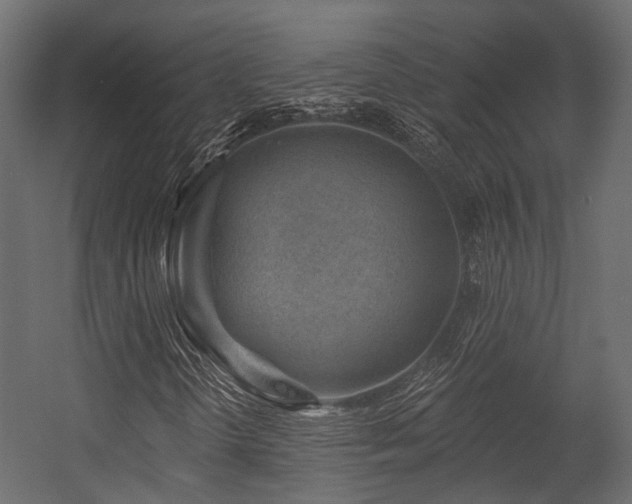 X0000054461298200507291337