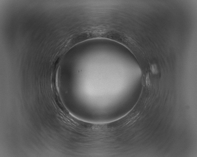 X0000054461299200507291337