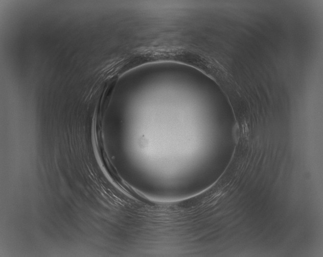 X0000054461300200507291337