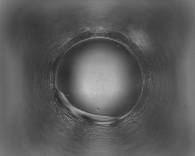 X0000054461301200507291337