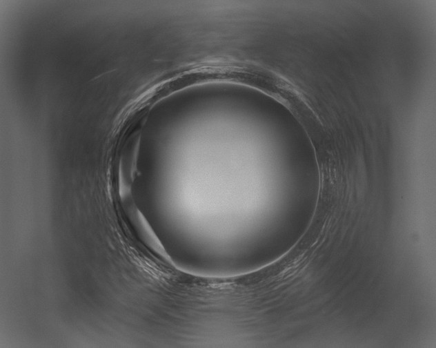 X0000054461304200507291337