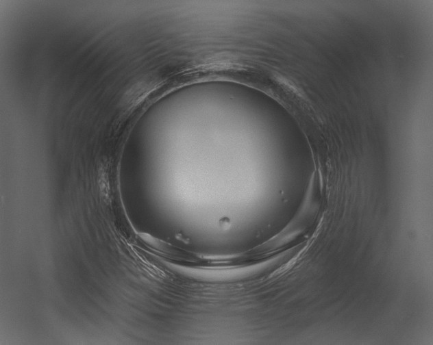 X0000054461305200507291337