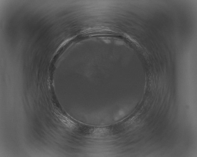 X0000054461306200507291337
