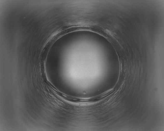 X0000054461307200507291338