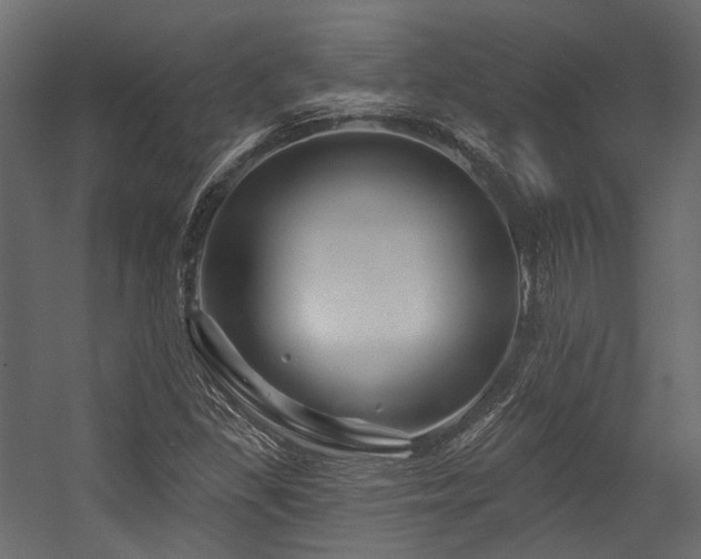 X0000054461309200507291338