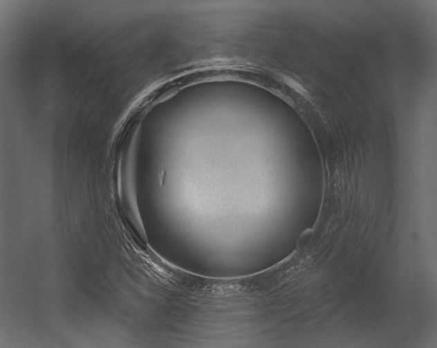 X0000054461310200507291338