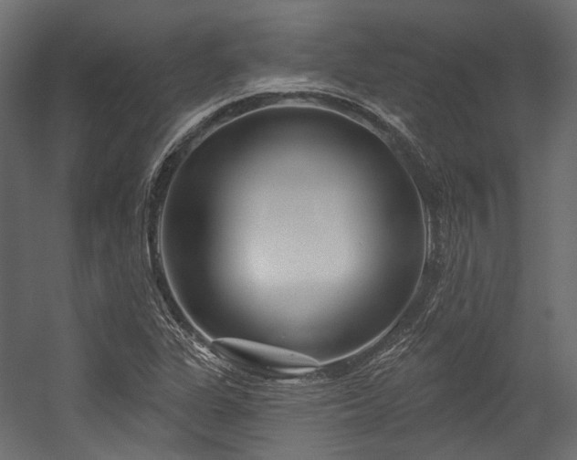 X0000054461311200507291338