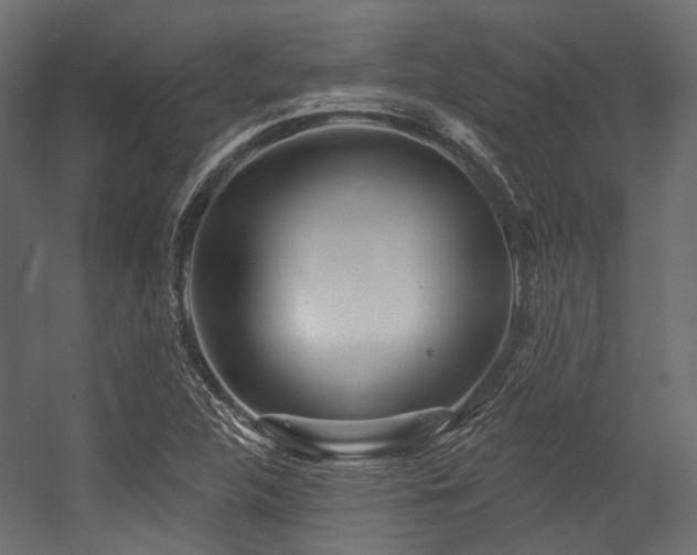 X0000054461312200507291338