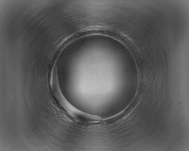 X0000054461313200507291338