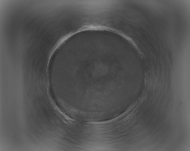 X0000054461319200507291338