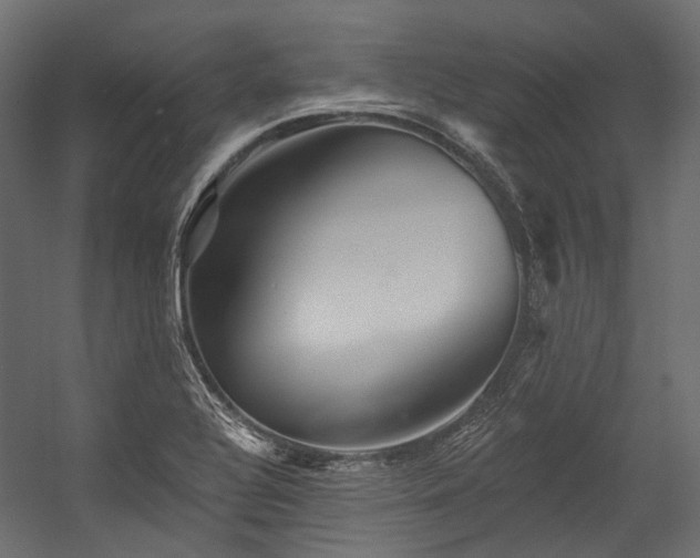 X0000054461320200507291338