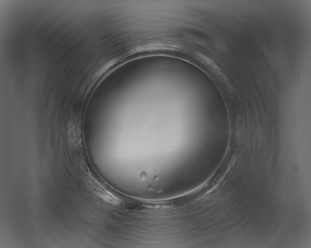 X0000054461321200507291338