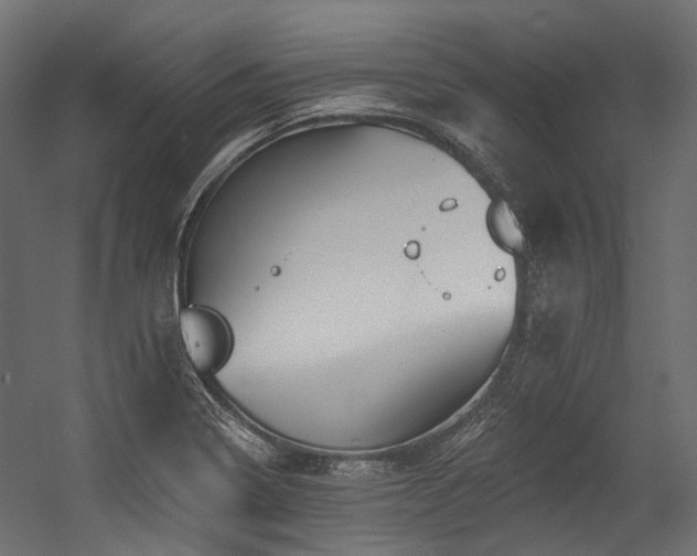X0000054461322200507291338