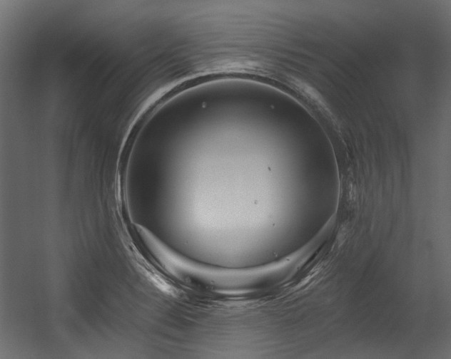 X0000054461324200507291338
