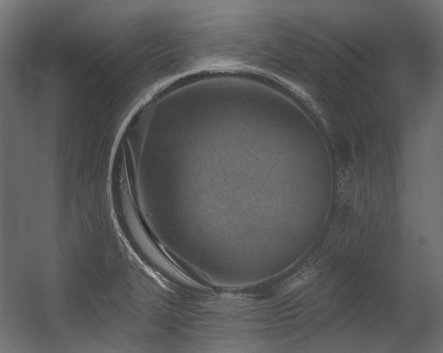X0000054461327200507291338