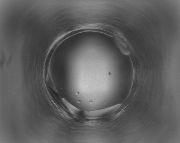 X0000054461328200507291338