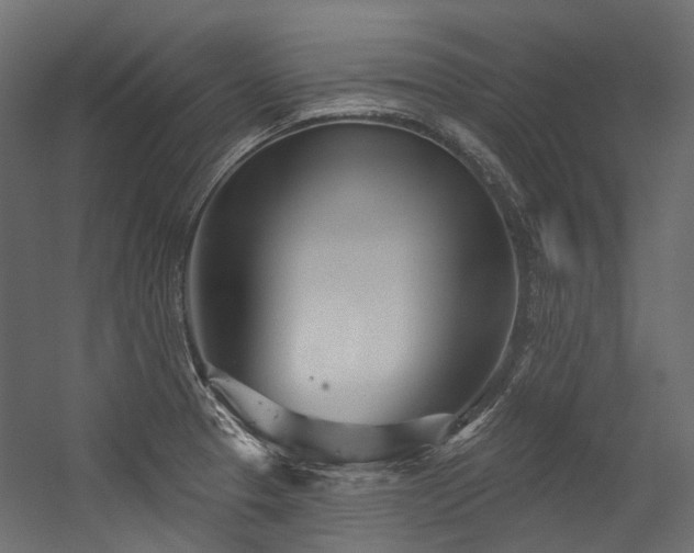 X0000054461329200507291338