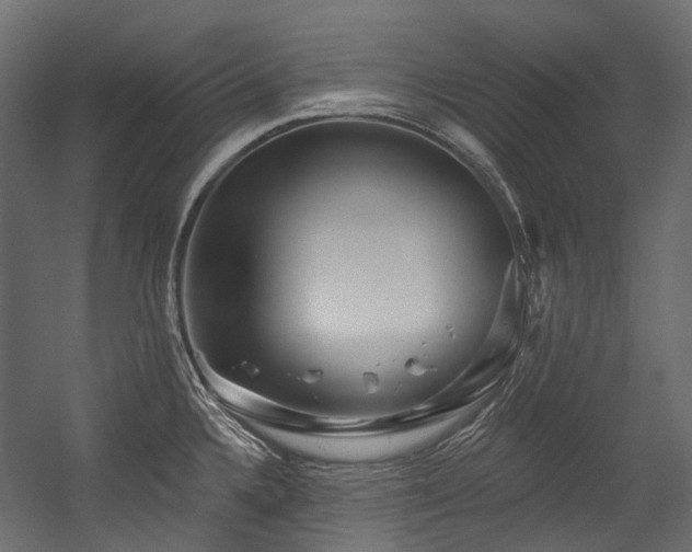 X0000054461336200507291338