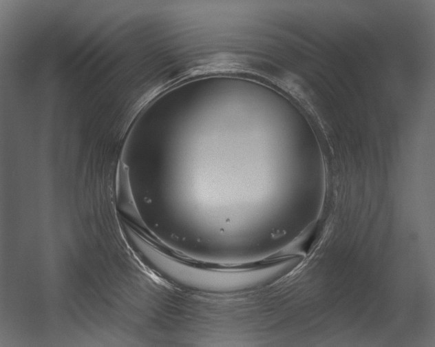 X0000054461337200507291338