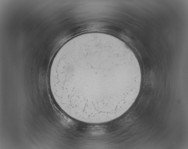 X0000054461338200507291338