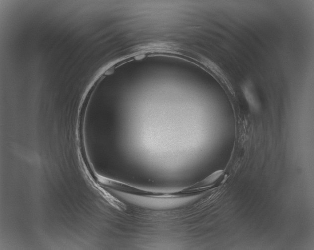 X0000054461339200507291338