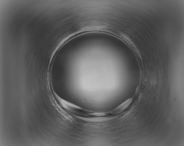 X0000054461340200507291338