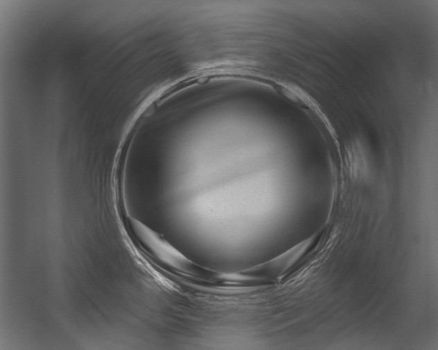 X0000054461341200507291338