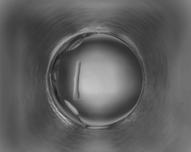 X0000054461344200507291338