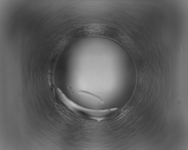 X0000054461346200507291337
