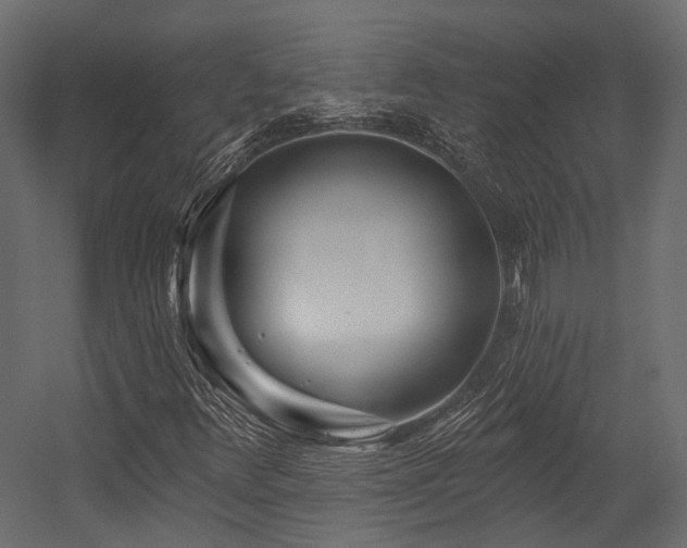X0000054461348200507291337