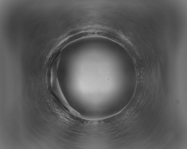 X0000054461352200507291337